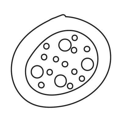 细菌细胞结构图标