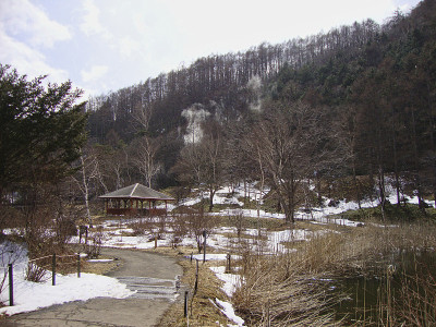 日本东京夏季的塞诺川原公园