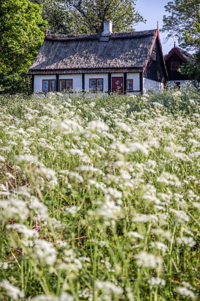 田园诗般的乡村小屋