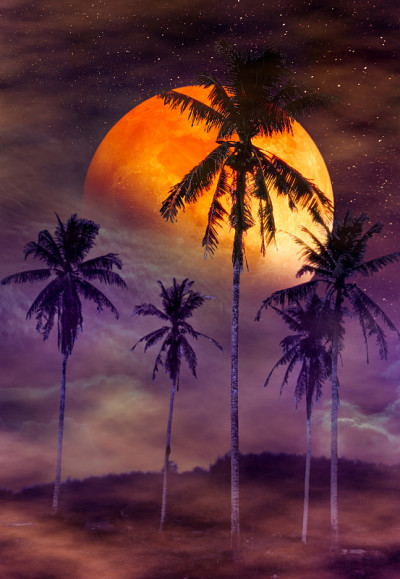 美丽的夜景多彩的天空和超级月亮背后的椰子树。