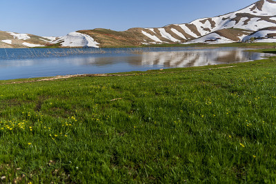 湖与雪山野花