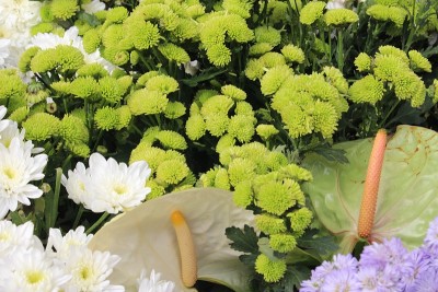 花节