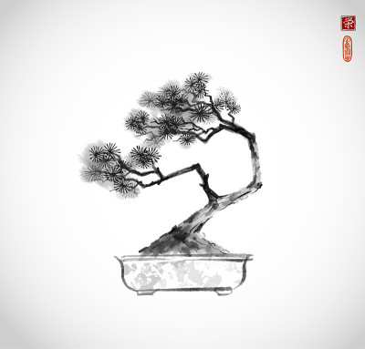 白色背景上用墨水手绘的盆景松树。传统东方水墨画梅花、梅花、梅花。象形文字——繁荣