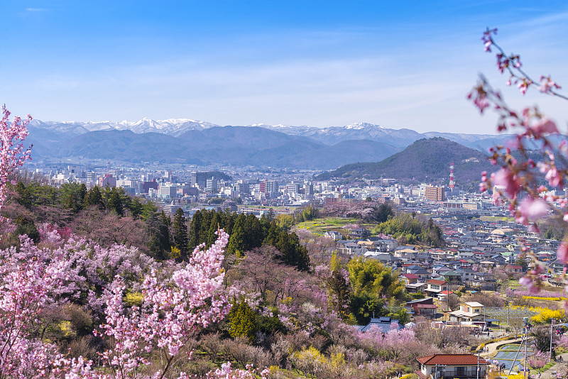 日本东北地区福岛的花山公园和福岛市景中的樱花和各种花卉。这个公园是非常著名的樱花景点