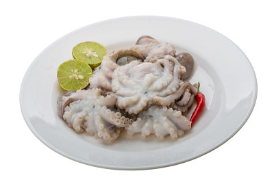 生的章鱼