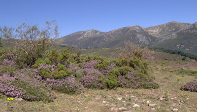 西班牙北部坎塔布里亚山区，夏季