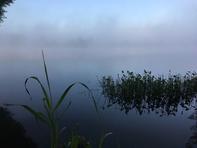 清晨的河