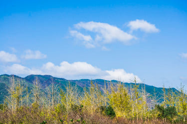 群山和乡村景色