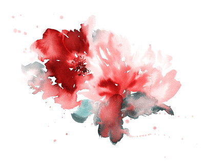 鲜花水彩插图