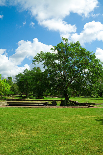 Anuradhapura遗址