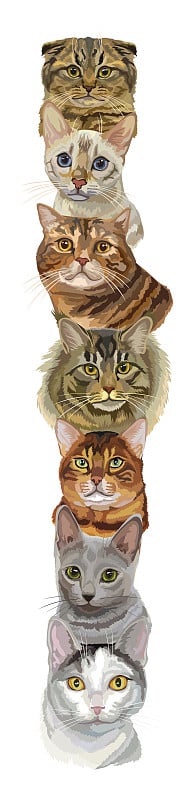 矢量垂直插图与猫