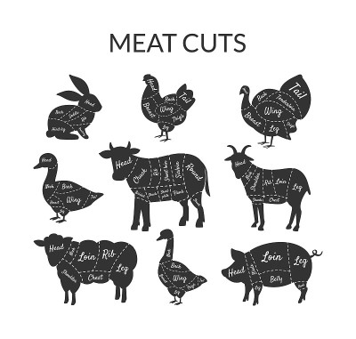 肉切集，农场动物和家禽与肉切线，复古的黑白矢量插图