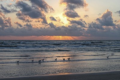 墨西哥湾海岸的日出