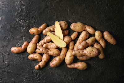 生土豆bayard