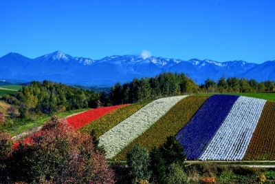 在日本北海道激发伟大的自然