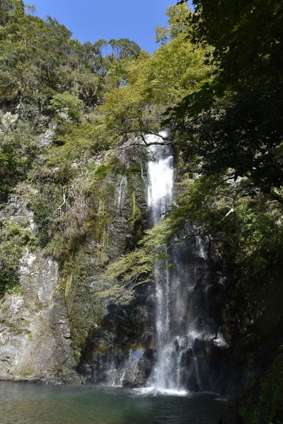 米诺森林公园