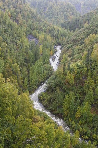 高山流水