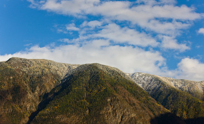 山