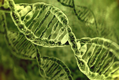 荧光光线下DNA分子的显微图像