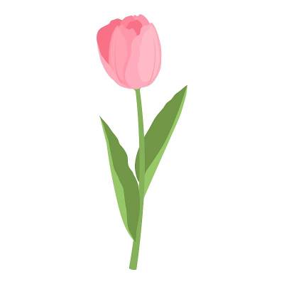 郁金香花图标，卡通风格
