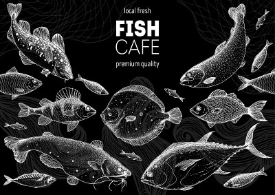 鱼素描集合。手绘矢量插图。海鲜框架矢量插图。食品菜单说明。手绘比目鱼，鲈鱼，鲶鱼，鲷鱼，鳕鱼，金枪鱼