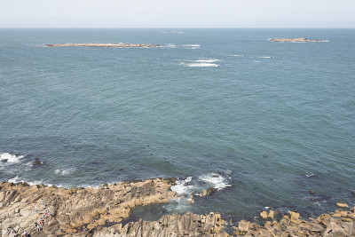 卡波波尼奥海岸鸟瞰图。在岩石海岸上的南美海狮、南海狮和南美海狮