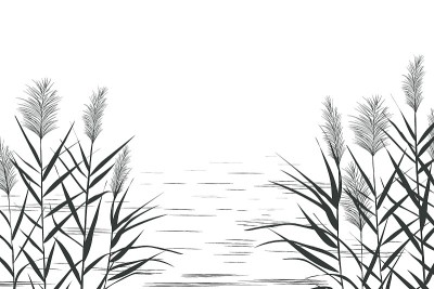 打印