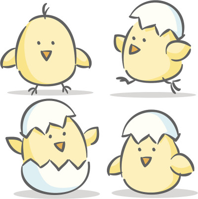 鸡