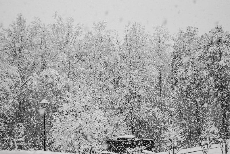 大雪