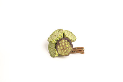 新鲜莲子