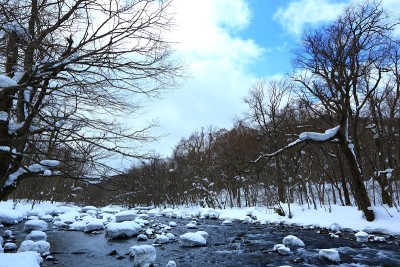 冬季流