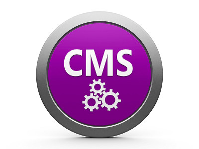 CMS图标