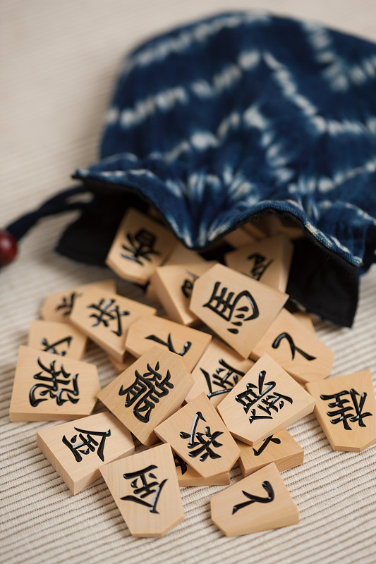 块Shogi