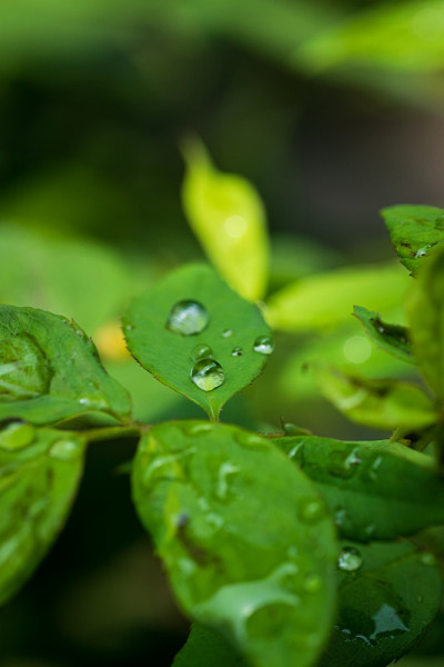 水滴