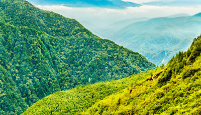 山