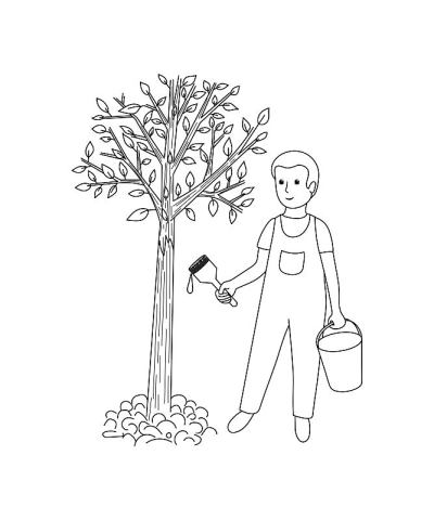 花园护理。一个男孩照顾一棵树的形象。