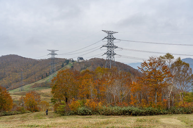 田代快速升降，田代滑雪场正值秋叶繁茂的季节