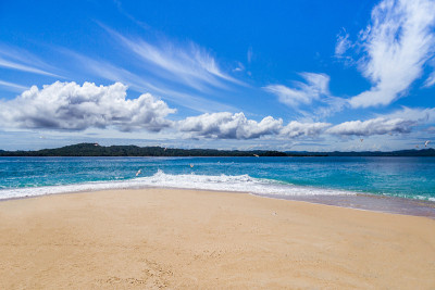 野生的海滩