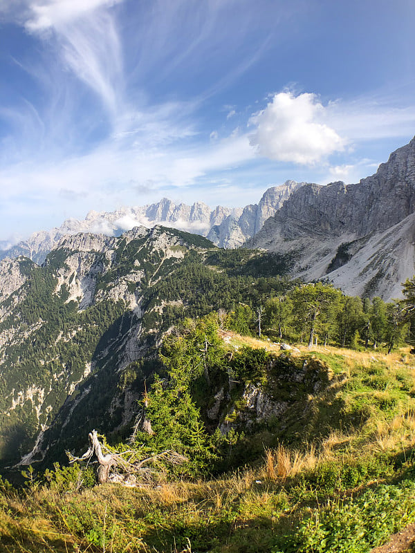 在山口附近用树根和石头徒步旅行。Kranjska Gora，斯洛文尼亚，Julian Alps, S