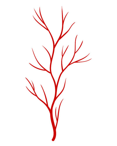人类的静脉。红色轮廓血管，动脉或毛细血管在白色背景上。医学概念解剖学要素。血液系统的载体分离符号