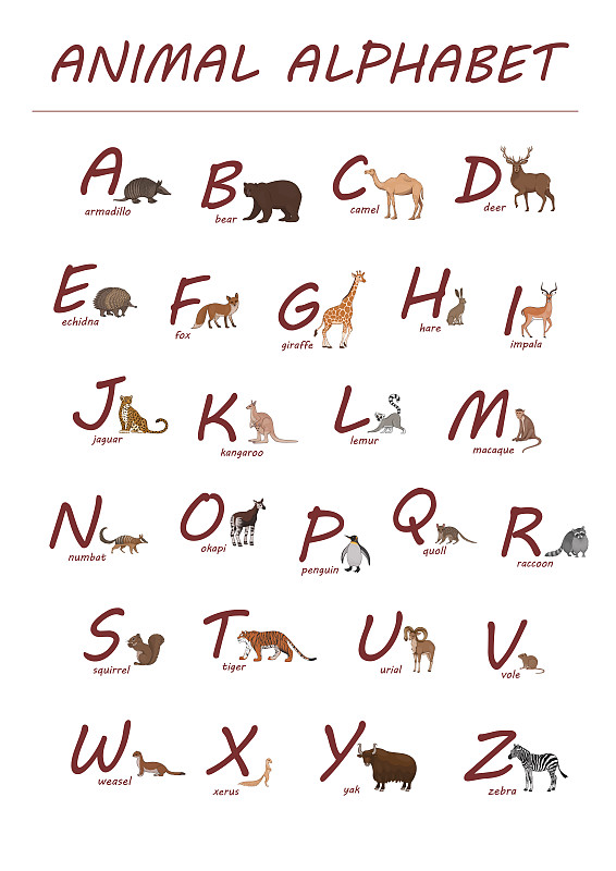English alphabet. Red letters and hand drawn anima