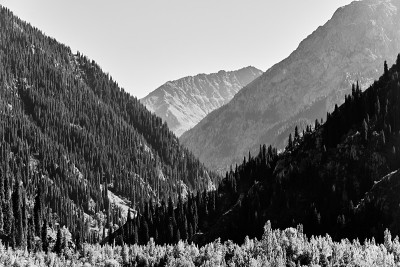 湖和覆盖着杉树的山脉的全景