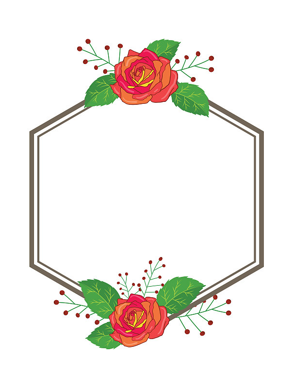 美丽的矢量花叶安排设置图形优雅的花和叶在彩色插图。可以用于你的婚礼或任何邀请模板吗