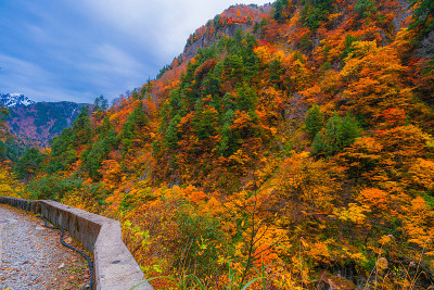 秋谷的风景