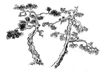 中国画的是松树