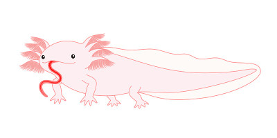 一个horlotl Woper looper角色插图