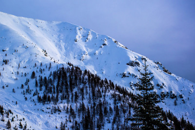北坡与雪