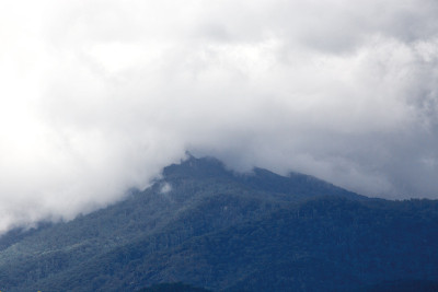 澳大利亚北昆士兰热带阿瑟顿高原上的雨林山丘和风暴云