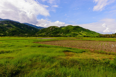 宁顺，越南- 2016 Otc -农村