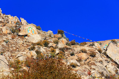 经幡和摩尼石。哲蚌寺monastery-Tibet。1209